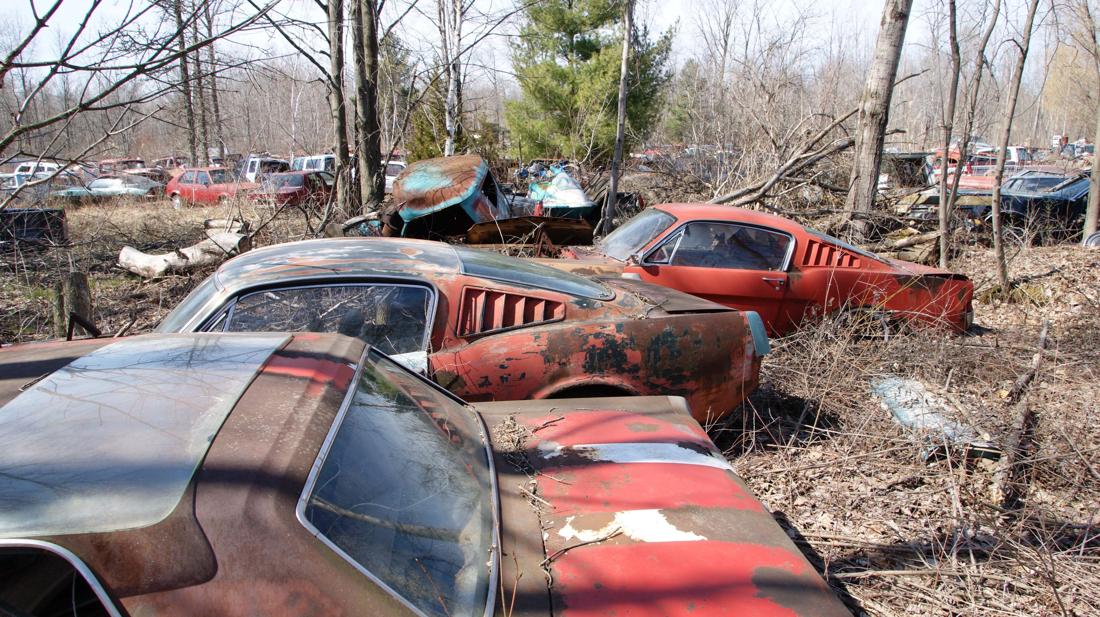 MuscleCar Spotting in a Michigan Junkyard Automobile Magazine