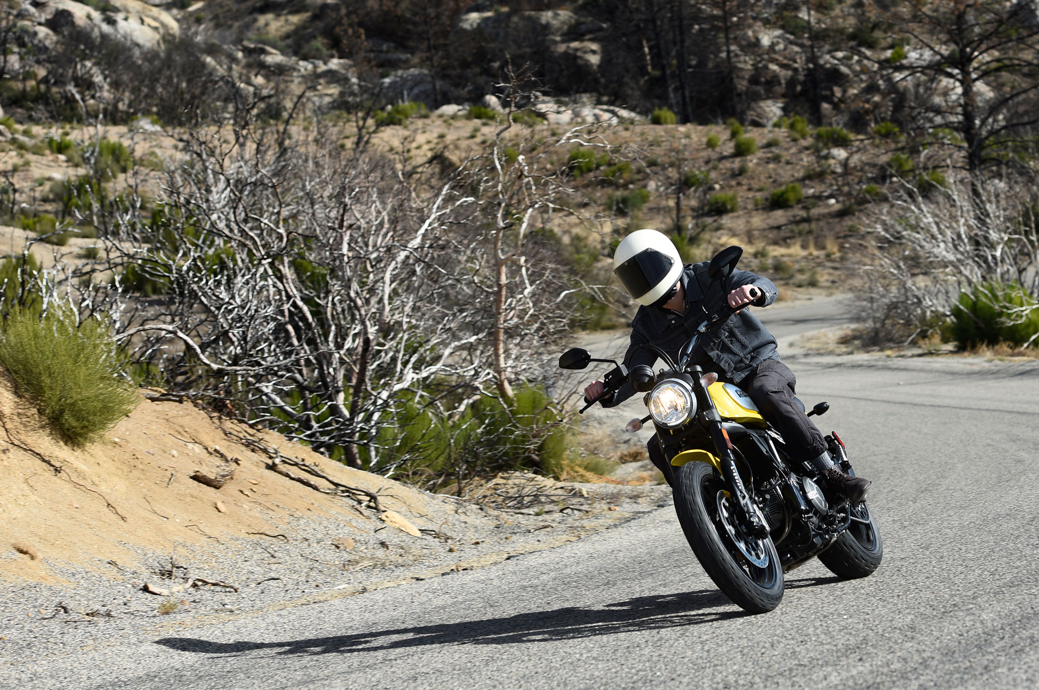 ducati scrambler riding position