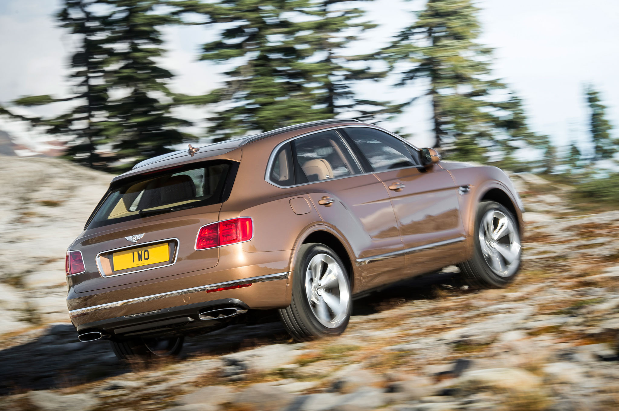 2017 Bentley Bentayga Suv Revealed Ahead Of Frankfurt Show More